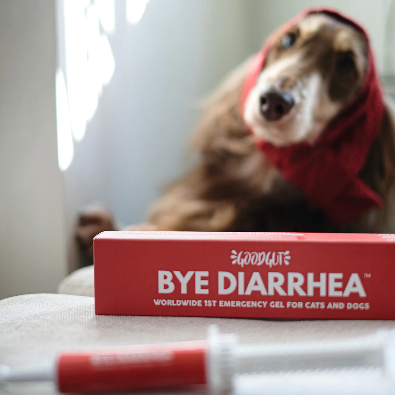 Good Gut Bye Diarrhea Emergency Gel